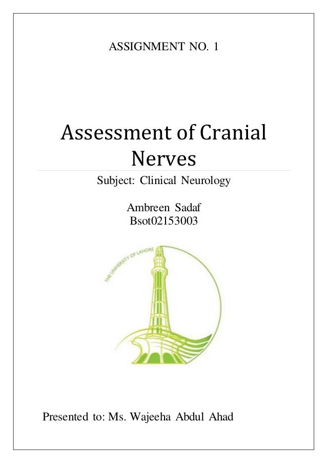 12 Cranial Nerves Chart