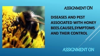 ASSIGNMENTON
DISEASES AND PEST
ASSOCIATED WITH HONEY
BEES.CAUSES,SYMPTOMS
AND THEIR CONTROL
 