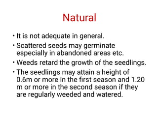Natural
•
•
•
•
It is not adequate in general.
Scattered seeds may germinate
especially in abandoned areas etc.
Weeds retard the growth of the seedlings.
The seedlings may attain a height of
0.6m or more in the ﬁrst season and 1.20
m or more in the second season if they
are regularly weeded and watered.
 