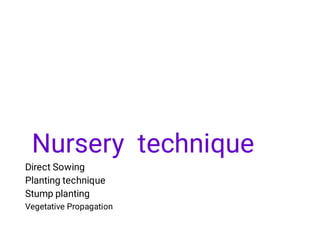 Nursery technique
Direct Sowing
Planting technique
Stump planting
Vegetative Propagation
 