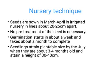 Nursery technique
•
•
•
•
Seeds are sown in March-April in irrigated
nursery in lines about 20-25cm apart.
No pre-treatment of the seed is necessary.
Germination starts in about a week and
takes about a month to complete
Seedlings attain plantable size by the July
when they are about 3-4 months old and
attain a height of 30-40cm.
 
