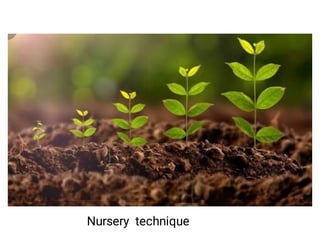 Nursery technique
 
