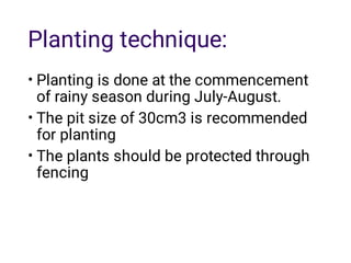 Planting technique:
•
•
•
Planting is done at the commencement
of rainy season during July-August.
The pit size of 30cm3 is recommended
for planting
The plants should be protected through
fencing
 
