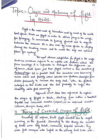Origin and mechanism of flight in birds | PDF