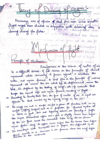 Origin and mechanism of flight in birds | PDF