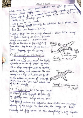 Origin and mechanism of flight in birds | PDF