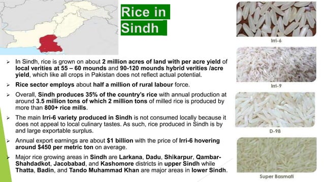Rice Introduction, origin, floral description, floral formula and ...