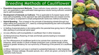 cole vegetables ( introduction of cabbage, origin, floral formula ...