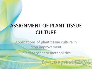 ASSIGNMENT OF PLANT TISSUE
CULTURE
Applications of plant tissue culture in
crop improvement
plant secondary metabolities
 