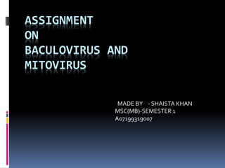 ASSIGNMENT
ON
BACULOVIRUS AND
MITOVIRUS
MADE BY - SHAISTA KHAN
MSC(MB)-SEMESTER 1
A07199319007
 