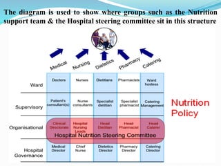 The diagram is used to show where groups such as the Nutrition
support team & the Hospital steering committee sit in this structure
 