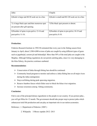Assignment on difference and feature of jatka and chapila | PDF