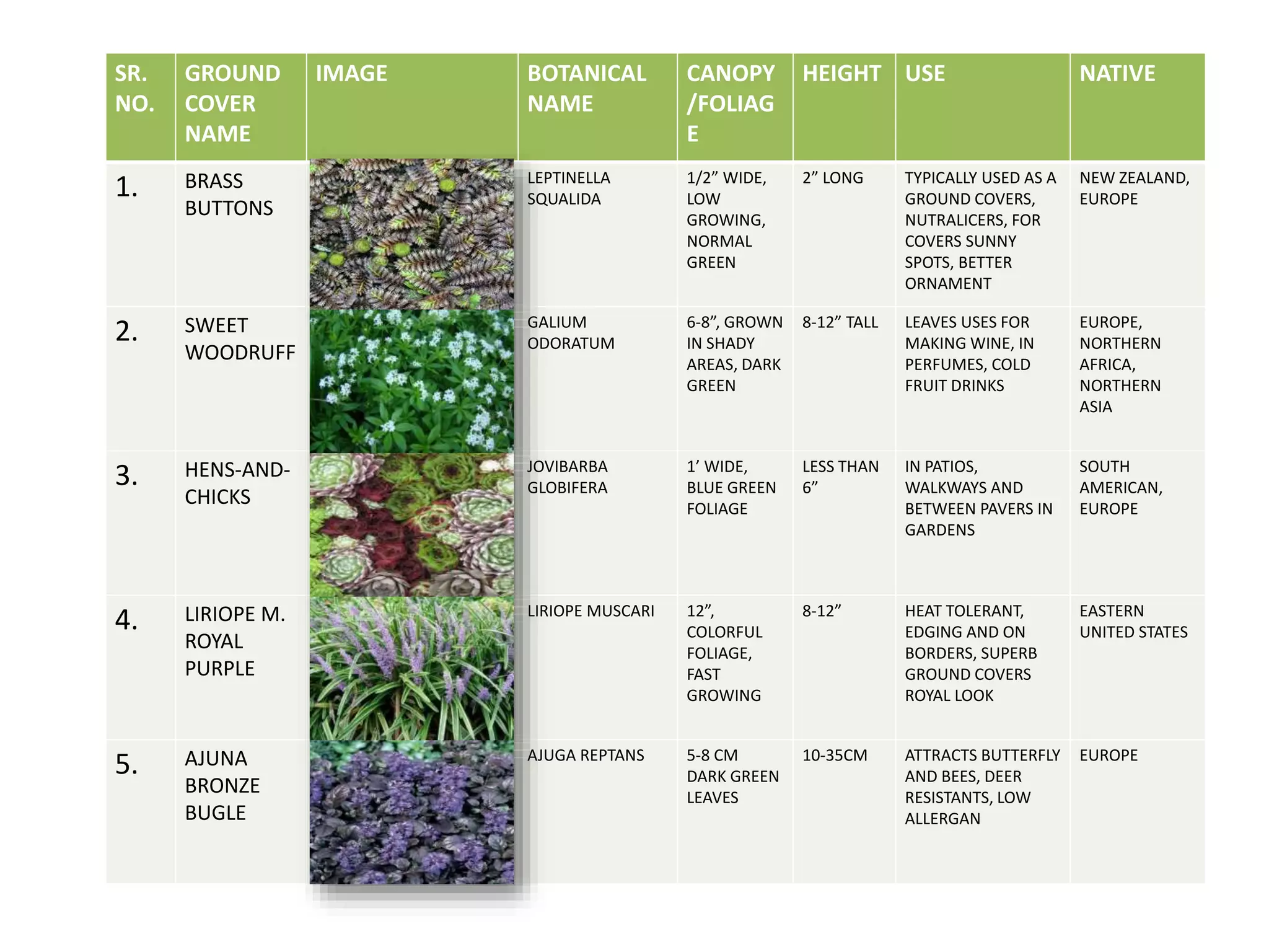 Assignment on landscape designing | PPT