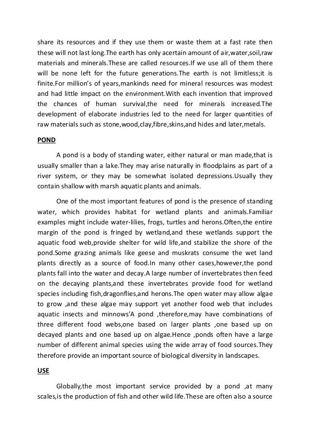 essay about composition corruption free india