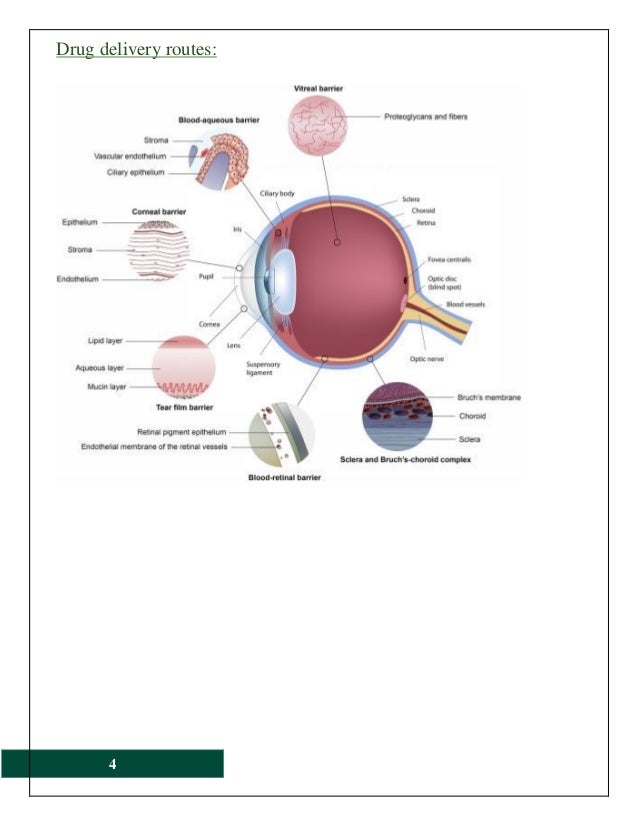ophthalmic products