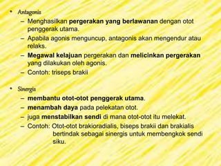 Sistem Otot | PPT