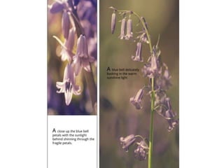 TAOP-Assignment 5 powerpoint presentation