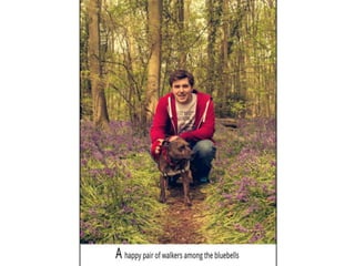 TAOP-Assignment 5 powerpoint presentation