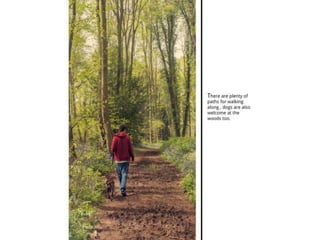 TAOP-Assignment 5 powerpoint presentation