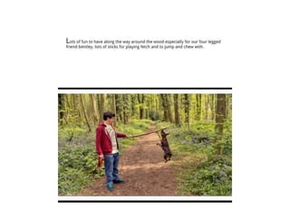 TAOP-Assignment 5 powerpoint presentation