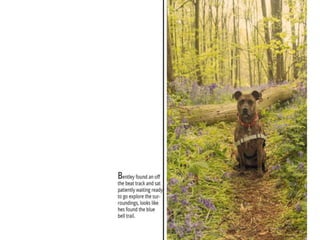 TAOP-Assignment 5 powerpoint presentation