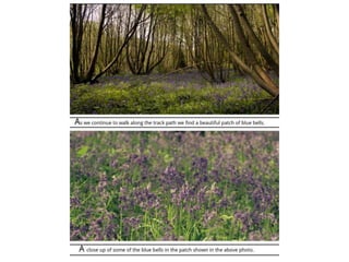 TAOP-Assignment 5 powerpoint presentation