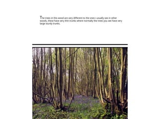 TAOP-Assignment 5 powerpoint presentation