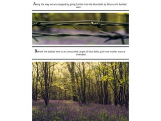 TAOP-Assignment 5 powerpoint presentation