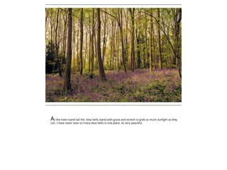 TAOP-Assignment 5 powerpoint presentation