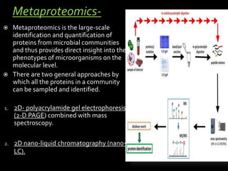 Metaproteomics Human Microbiome Projects | PPTX