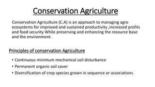 Conservation Agriculture
Conservation Agriculture (C.A) is an approach to managing agro
ecosystems for improved and sustained productivity ,increased profits
and food security While preserving and enhancing the resource base
and the environment.
Principles of conservation Agriculture
• Continuous minimum mechanical soil disturbance
• Permanent organic soil cover
• Diversification of crop species grown in sequence or associations
 
