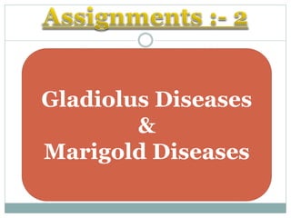 Gladiolus Diseases
&
Marigold Diseases
 