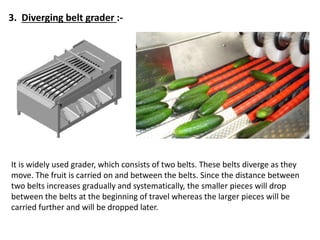 It is widely used grader, which consists of two belts. These belts diverge as they
move. The fruit is carried on and between the belts. Since the distance between
two belts increases gradually and systematically, the smaller pieces will drop
between the belts at the beginning of travel whereas the larger pieces will be
carried further and will be dropped later.
3. Diverging belt grader :-
 
