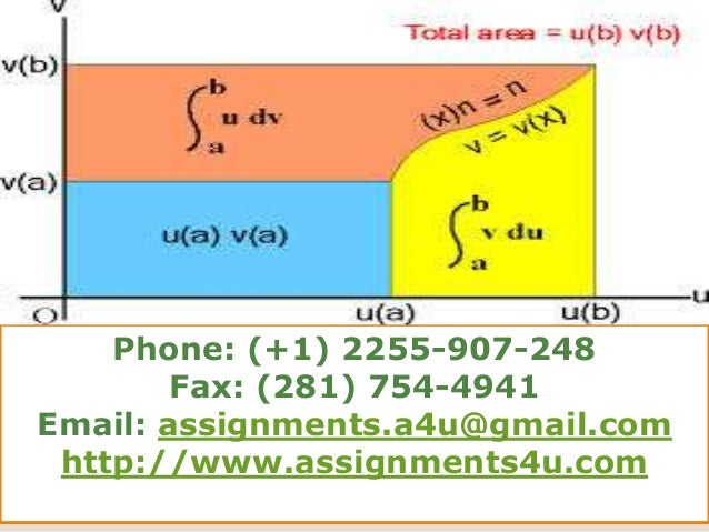 assignment assistance best college assignment