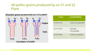 Pollen Incompatibility Assignment Self incompatibility and molecular basis of Self ...