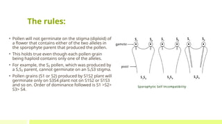 Poljen Example Assignment Self incompatibility and molecular basis of Self ...