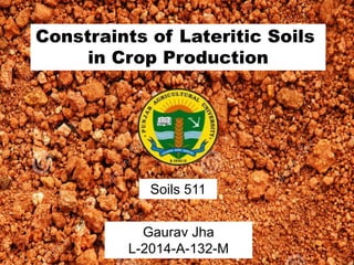 Constraints of Lateritic Soils
in Crop Production
Gaurav Jha
L-2014-A-132-M
Soils 511
 