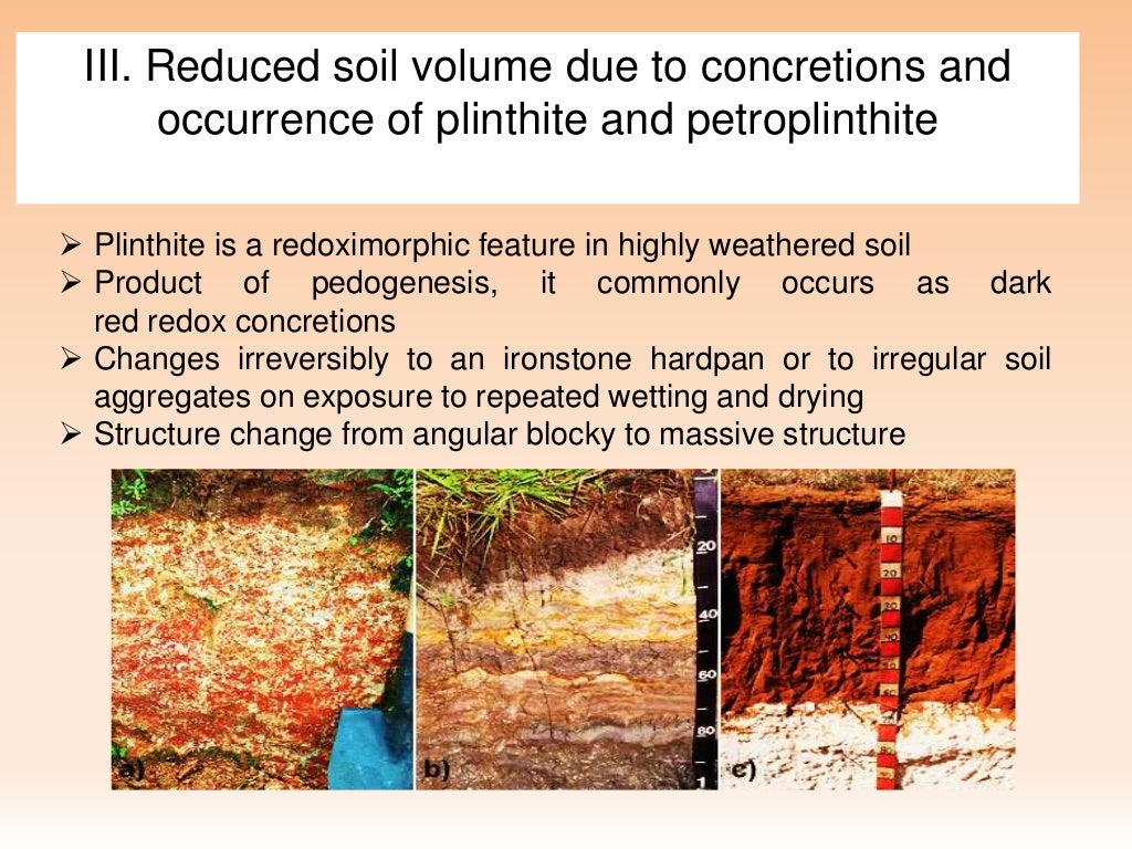 Lateritic Soils and Constraints in crop production