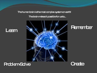 Learn The human brain is the most complex system on earth!  Create Problem-Solve  Remember The brain makes it possible for us to... 
