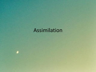 Assimilation
 