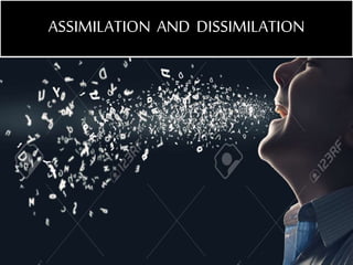 ASSIMILATION AND DISSIMILATION
 