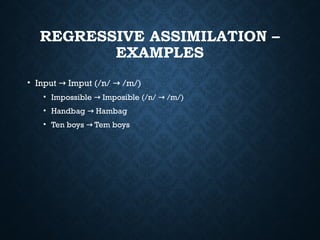 Assimilation and Dissimilation in Phonology: Mechanisms and Examples in ...