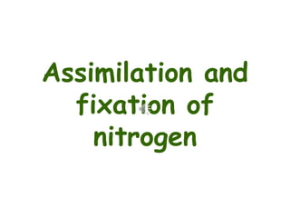 Assimilation and
fixation of
nitrogen
 