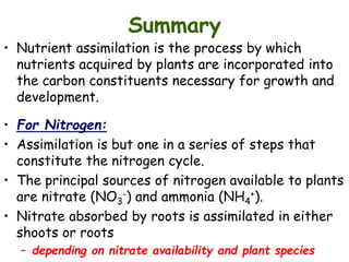 Assimilation n Nitrogen fixation.ppt