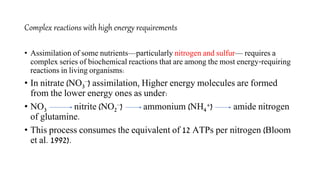 Assimilation of mineral_nutrients_(2) | PPTX