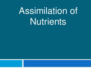 Assimilation of
Nutrients
 