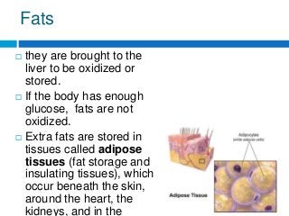 Fats
 they are brought to the
liver to be oxidized or
stored.
 If the body has enough
glucose, fats are not
oxidized.
 Extra fats are stored in
tissues called adipose
tissues (fat storage and
insulating tissues), which
occur beneath the skin,
around the heart, the
kidneys, and in the
 