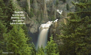 Arizona - USA Quando aceita seu destino, mas tem garra para mudá-lo. 