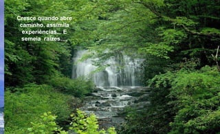 Havaj Cresce quando abre caminho, assimila experiências... E semeia  raízes…. 