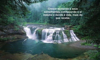 Kostarika Cresce ajudando a seus semelhantes, conhecendo a si mesmo e dando à vida, mais do que recebe. 